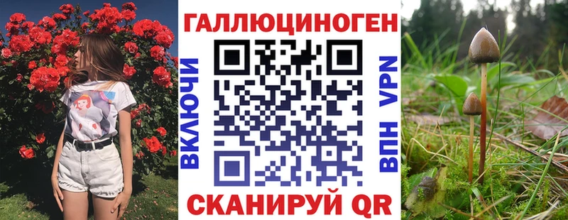 Галлюциногенные грибы GOLDEN TEACHER  Купить закладки  Белая Холуница 