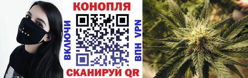 Шишки марихуана OG Kush  Купить  Белая Холуница 